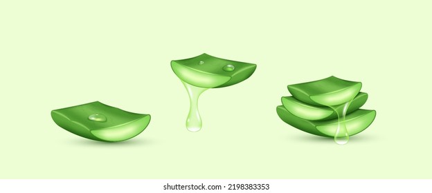 Cut aloe vera leaves with juice drops realistic isolated on white background. Fresh plant glass elements for skincare and cosmetics. 3d vector illustration