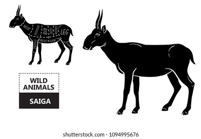 Cut of antelope set. Poster Butcher diagram - Saiga. Vintage typographic hand-drawn. Vector illustration