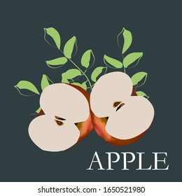 cut apple in half. beautiful branches with leaves. red apple with leaves. card with fruits.