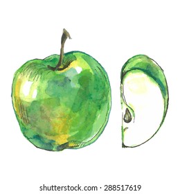 Cut apple. Vector. Watercolor