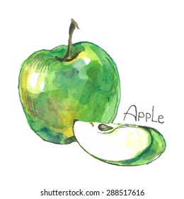 Cut apple. Watercolor. Vector isolated.