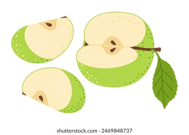 Cut apple with apple wedge cartoon set. Cross section of cut apple, slices fruit, Hand drawn trendy flat style isolated Vector illustration