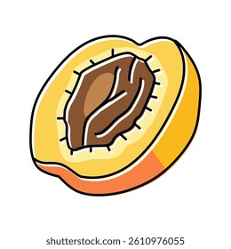 cut apricot fruit color icon vector. cut apricot fruit sign. isolated symbol illustration