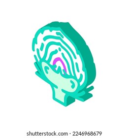 cut artichoke isometric icon vector. cut artichoke sign. isolated symbol illustration