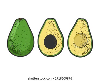 Cut Avocado berry vegetable color sketch engraving vector illustration. T-shirt apparel print design. Scratch board imitation. Black and white hand drawn image.