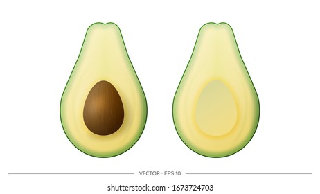 Cut avocado with bone. Half pitted avocado isolated on a white background. Realistic vector set.