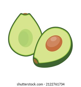 cut avocado on white background, vector illustration