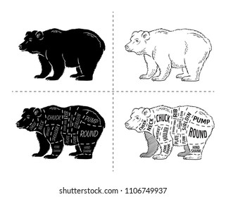 Cut of bear set. Poster Butcher diagram - bear. Vintage typographic hand-drawn. Vector illustration