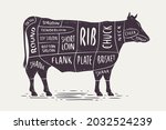 Cut of beef. Butcher diagram and scheme. Cow vintage typographic vector illustration