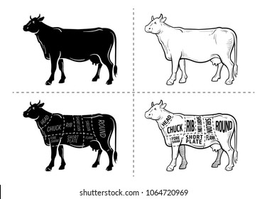 Corte de carne. Diagrama del carnicero de afiches - Vaca. Tipografía vintage dibujada a mano. Ilustración del vector