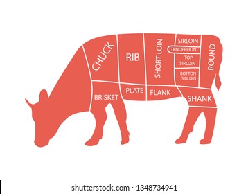 Cut of beef set. Poster Butcher diagram - Cow. Vintage typographic hand-drawn.