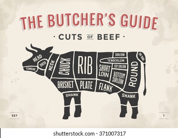 Cut of beef set. Poster Butcher diagram and scheme - Cow. Vintage typographic hand-drawn. Vector illustration