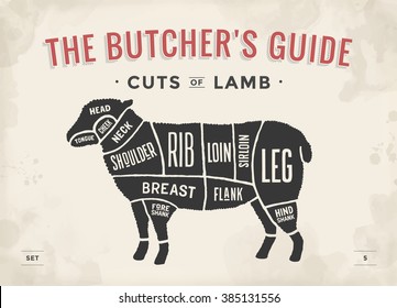 Cut of beef set. Poster Butcher diagram and scheme - Lamb. Vintage typographic hand-drawn. Vector illustration