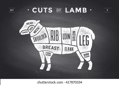 Cut of beef set. Poster Butcher diagram and scheme - Lamb. Vintage typographic hand-drawn on a black chalkboard background. Vector illustration
