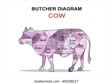 Cut of beef set. Poster Butcher diagram - Cow.