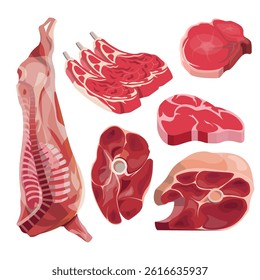 Cut beef set raw prime meat. Vector illustration isolated on a white background
