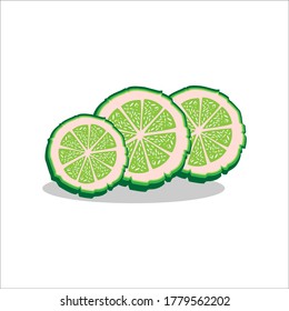 Cut bergamot,very good toilet deodorant,in vector style.