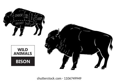 Cut of Bison set. Poster Butcher diagram - Bison. Vintage typographic hand-drawn. Vector illustration