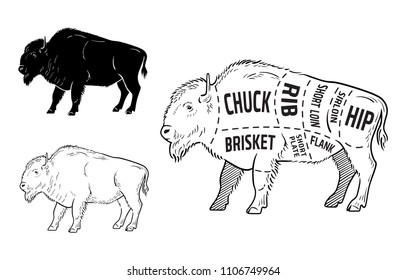 Cut of Bison set. Poster Butcher diagram - Bison. Vintage typographic hand-drawn. Vector illustration