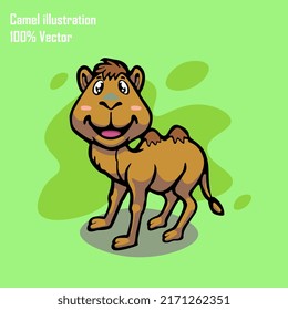 Cut Camel illustration vector cartoon