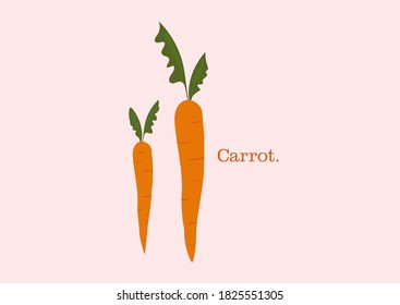 Cut carrots vetorial illustration, isolated. 