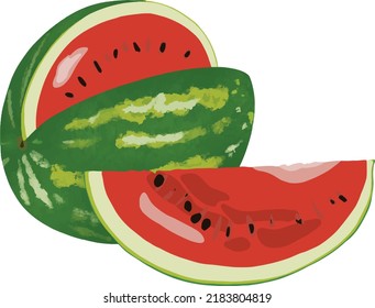 Cut cartoon watermelon vector watermelon slice