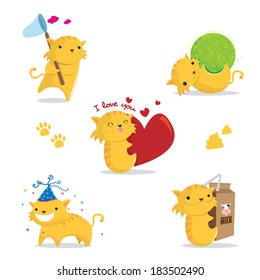 cut cat, cute kitty