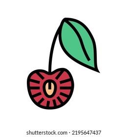 cut cherry color icon vector. cut cherry sign. isolated symbol illustration