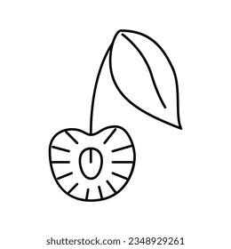 cut cherry line icon vector. cut cherry sign. isolated contour symbol black illustration