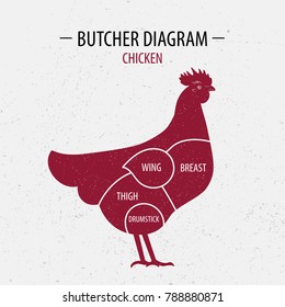 Cut of chicken. Poster Butcher diagram for groceries, meat stores, butcher shop, farmer market. Poster for meat related theme. Hen, rooster silhouette. Vector illustration.