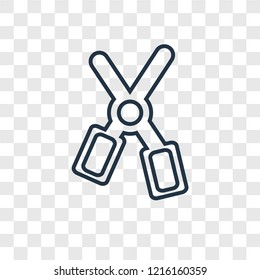 Cut concept vector linear icon isolated on transparent background, Cut concept transparency concept in outline style