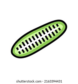 cut cucumber color icon vector. cut cucumber sign. isolated symbol illustration