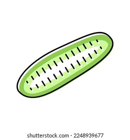 cut cucumber color icon vector. cut cucumber sign. isolated symbol illustration