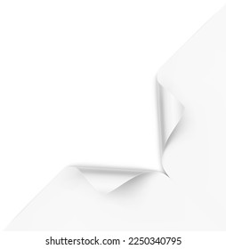 A cut and curled piece of paper. Great for displaying a hidden image. Vector illustration isolated on white background. Front view. Can be use for template your design, presentation, promo, ad. EPS10.