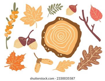 Cut down tree, fall berries and  forest leaves. Autumn mood clipart