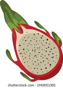 Ilustración vectorial de fruta de dragón de corte