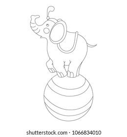 Cut elephant on the big ball in a circus arena vector outline doodle style