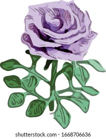 Reductor del vector de rosa de la flor de corte
