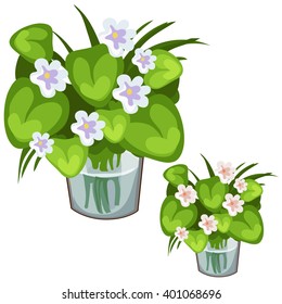 Cut flowers in a glass beaker. Vector illustration.