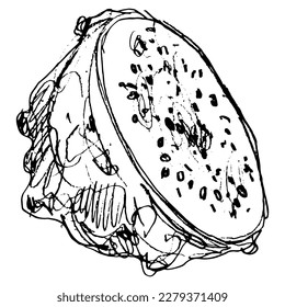 Cut fresh Yellow Dragon Fruit or Pitaya. Pitahaya cactus. Selenicereus megalanthus. Hand drawn linear doodle rough sketch. Black and white silhouette.
