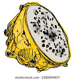 Cut fresh Yellow Dragon Fruit or Pitaya. Pitahaya cactus. Selenicereus megalanthus. Hand drawn colorful rough sketch.