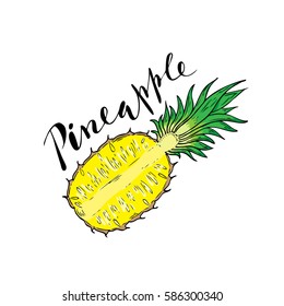 The cut fruit of pineapple on a white background with the word Pineapple. Lettering.