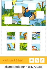Cut and glue vector puzzle learning children game with colorful image of a mandarin ducks floating on a forest river near reeds and water lilies. Birds educational activity for kids.