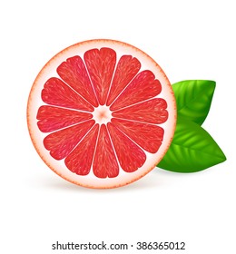 Cut grapefruit with leaf isolated on white background. Realistic vector illustration.