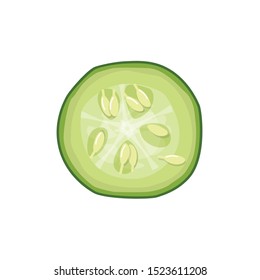 Cut green cucumber. Top view. Vector illustration isolated on white background