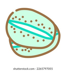 cut green kiwi color icon vector. cut green kiwi sign. isolated symbol illustration