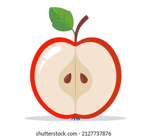 cut half of an apple. ripe fruit cut. flat vector illustration.