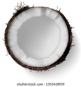 Cut in half coconut on a white background.  3D vector. High detailed realistic illustration