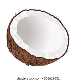 Cut in half coconut on white background. Exotic tropical nut icon. Healthy organic nutrition. Cartoon vegetarian food picture. Empty coconut without milk. Palm fruit isolated vector illustration.