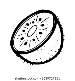 Cut half of kiwi fruit. Hand drawn doodle vector. Summer sweet berry of Actinidia plant. Seasonal vitamins. Fresh organic food. Juicy pulp in fluffy skin. Illustration line art element.